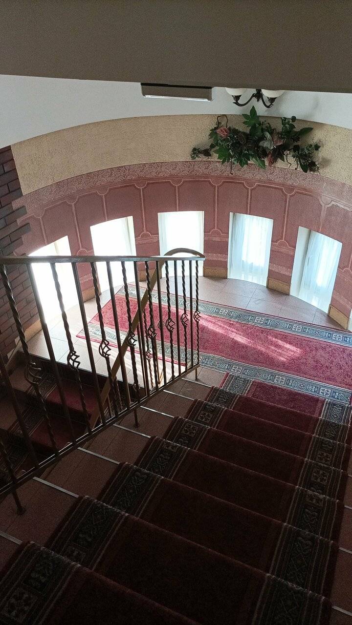 Фото Гостиницы Черепаха Калининград 134