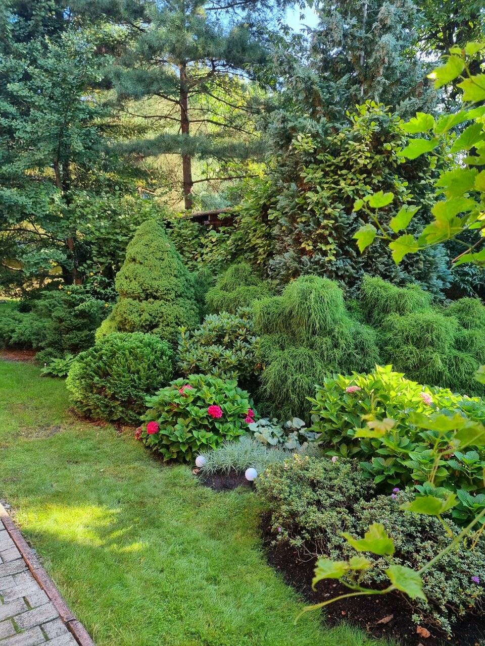 Фото Гостиницы Черепаха Калининград 125