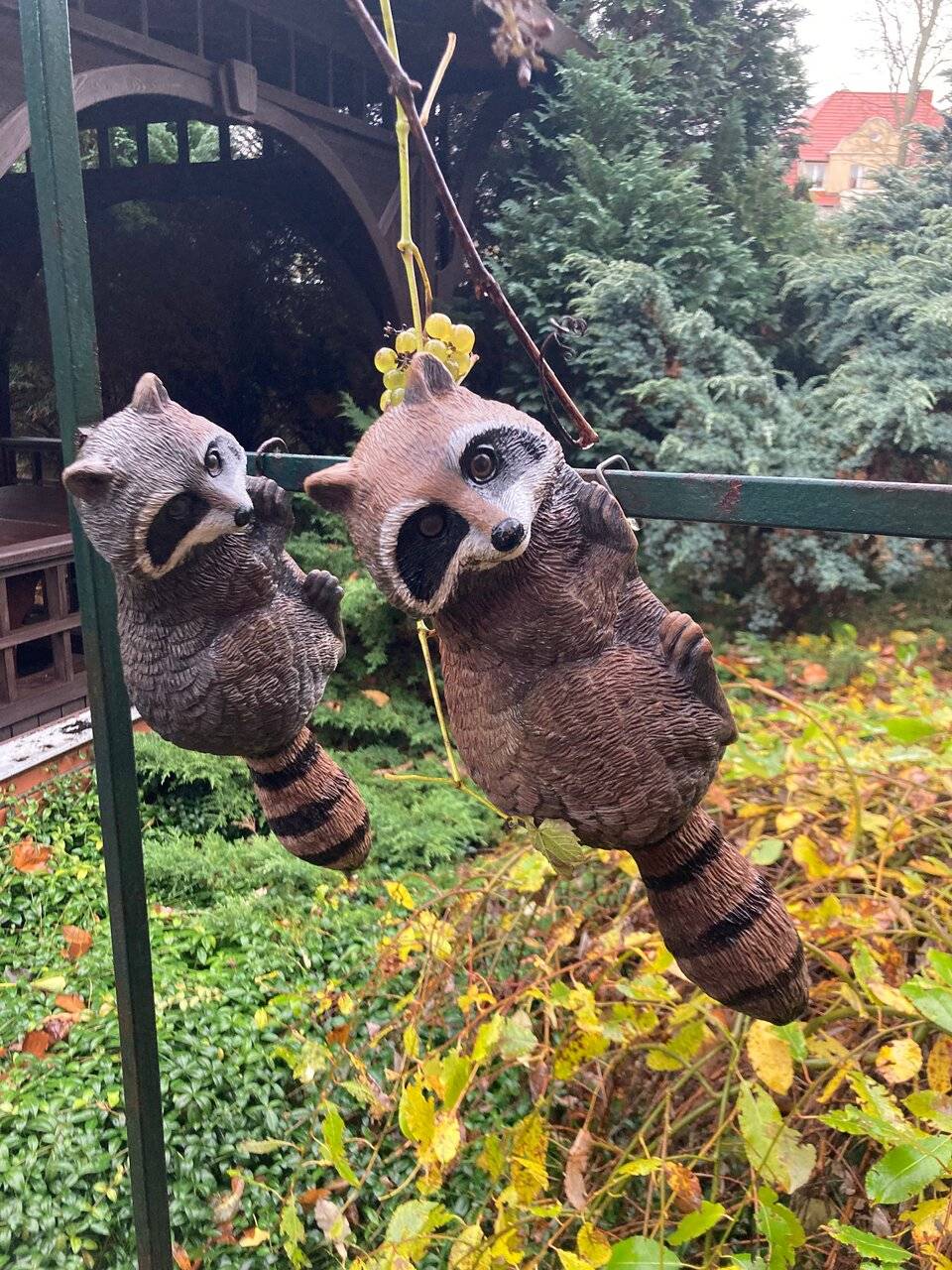 Фото Гостиницы Черепаха Калининград 113