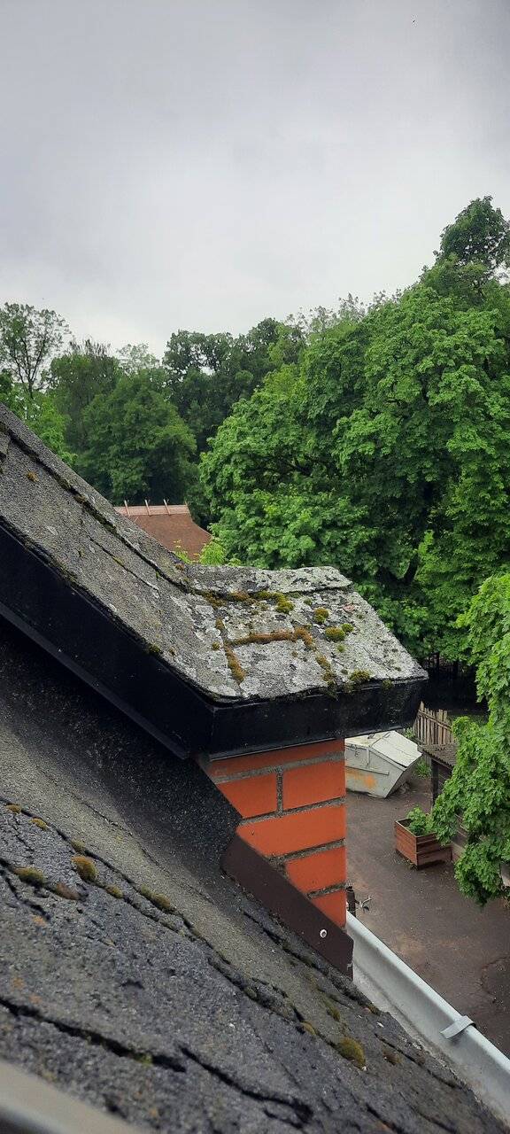 Фото Гостиницы Черепаха Калининград 170