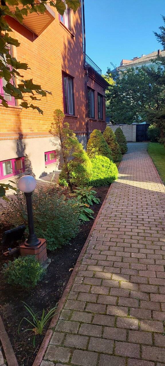 Фото Гостиницы Черепаха Калининград 187