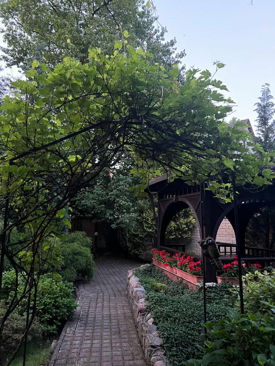 Фото Гостиницы Черепаха Калининград 195