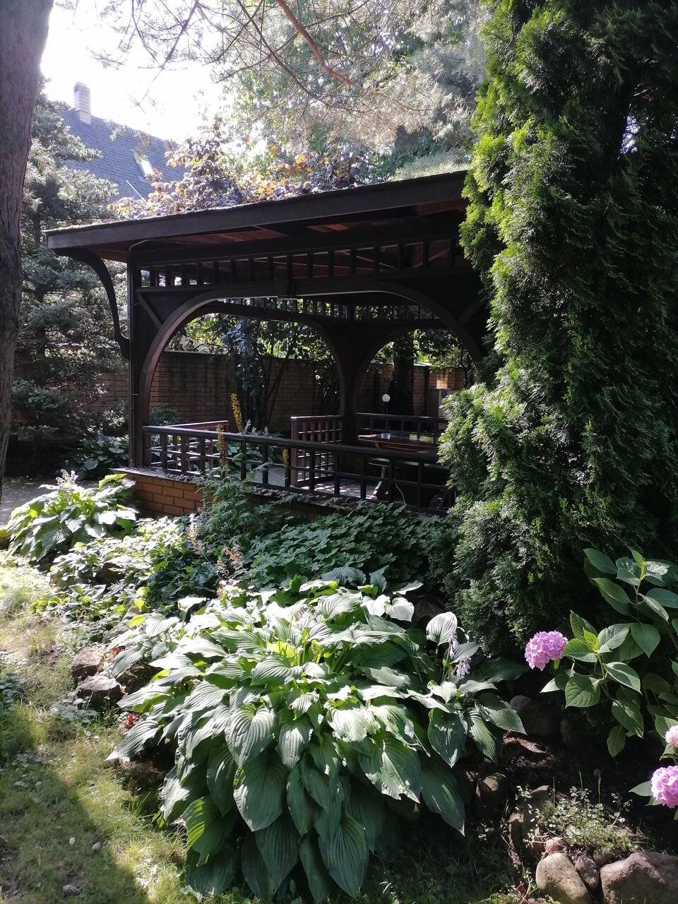 Фото Гостиницы Черепаха Калининград 120