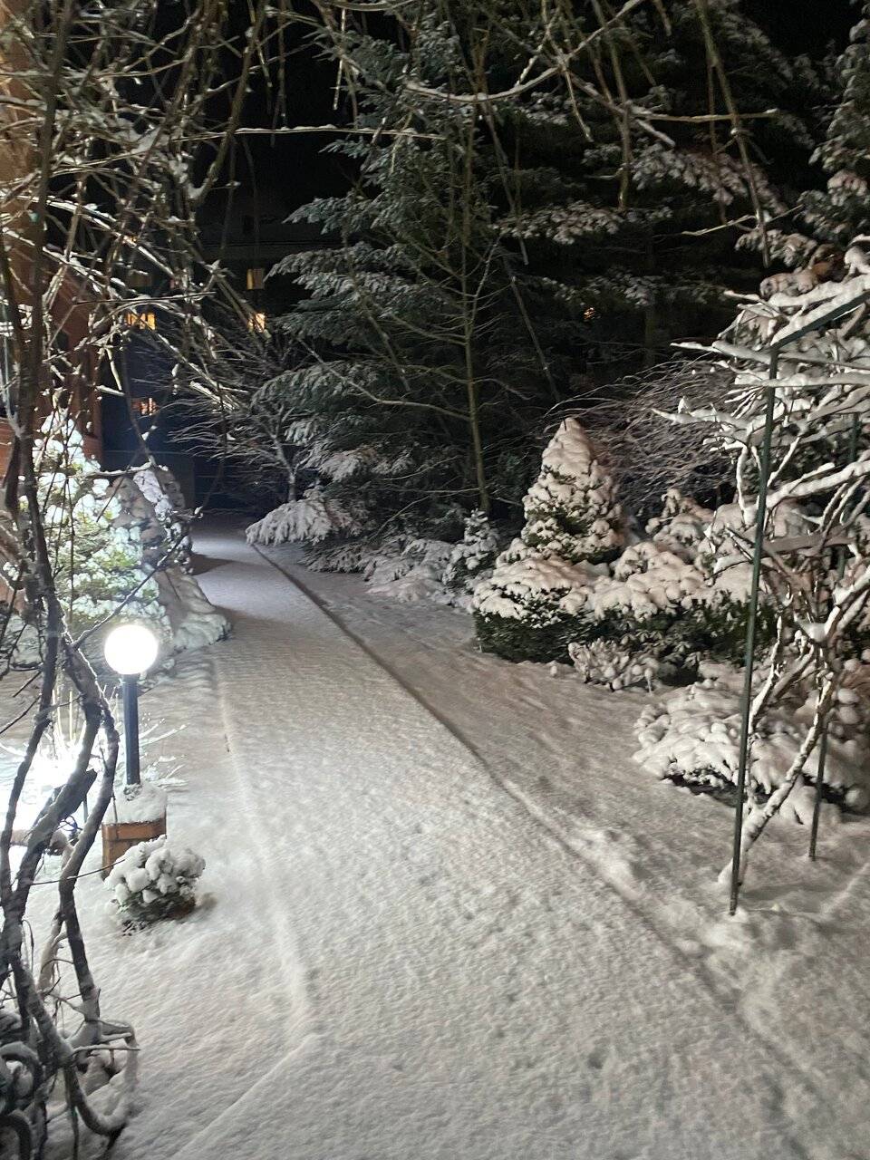 Фото Гостиницы Черепаха Калининград 114