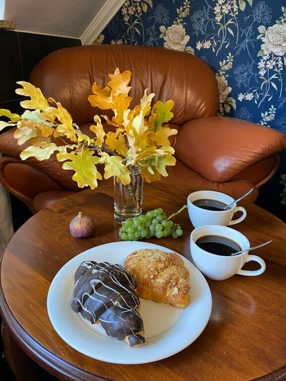 Фото Гостиницы Черепаха Калининград 115