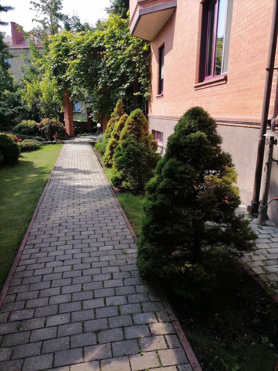 Фото Гостиницы Черепаха Калининград 202