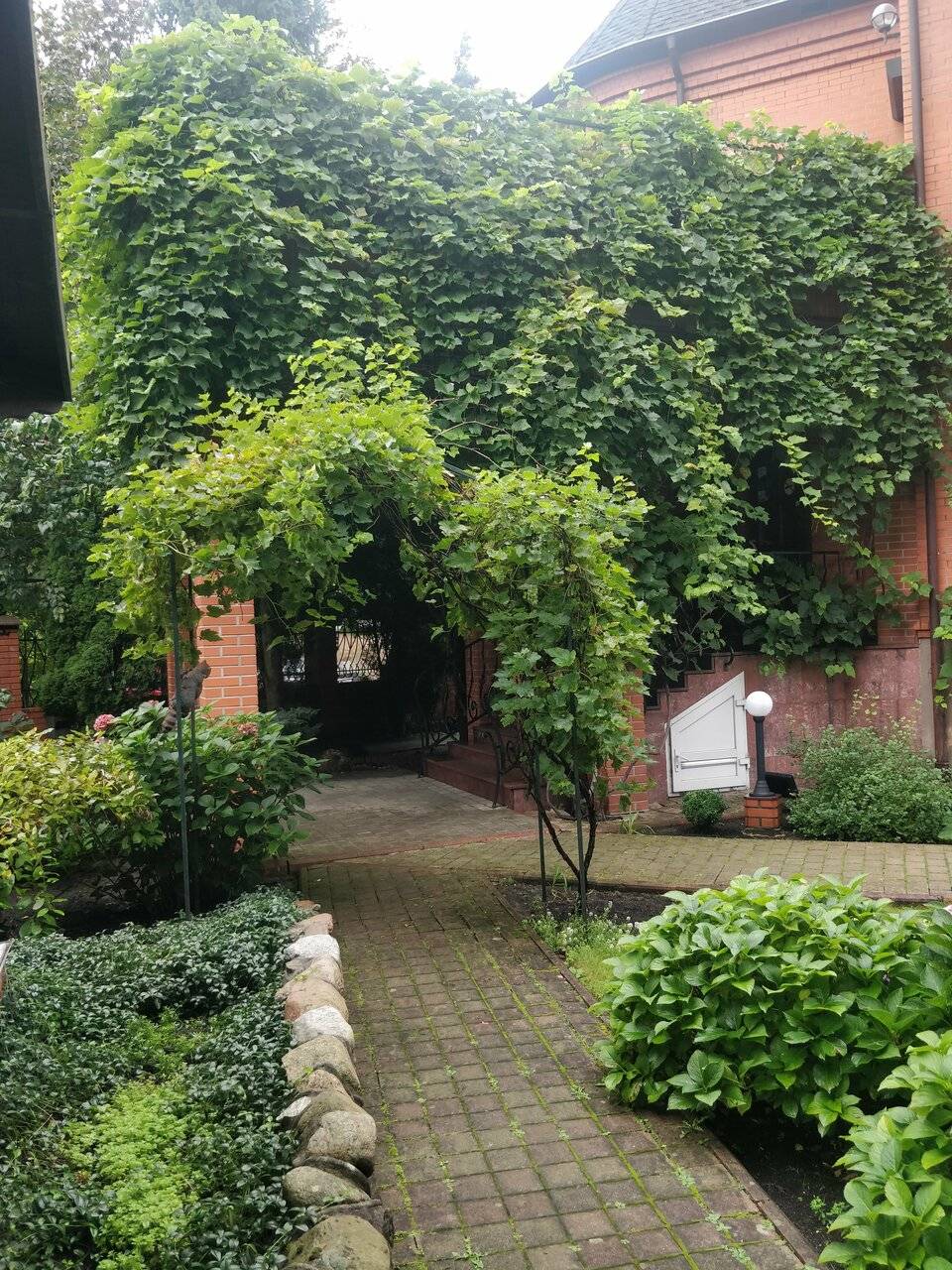 Фото Гостиницы Черепаха Калининград 183