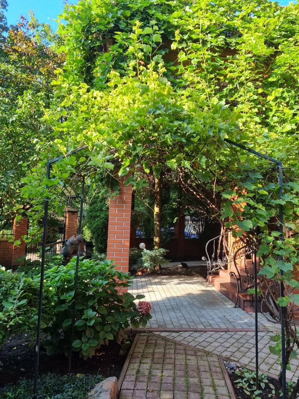 Фото Гостиницы Черепаха Калининград 154