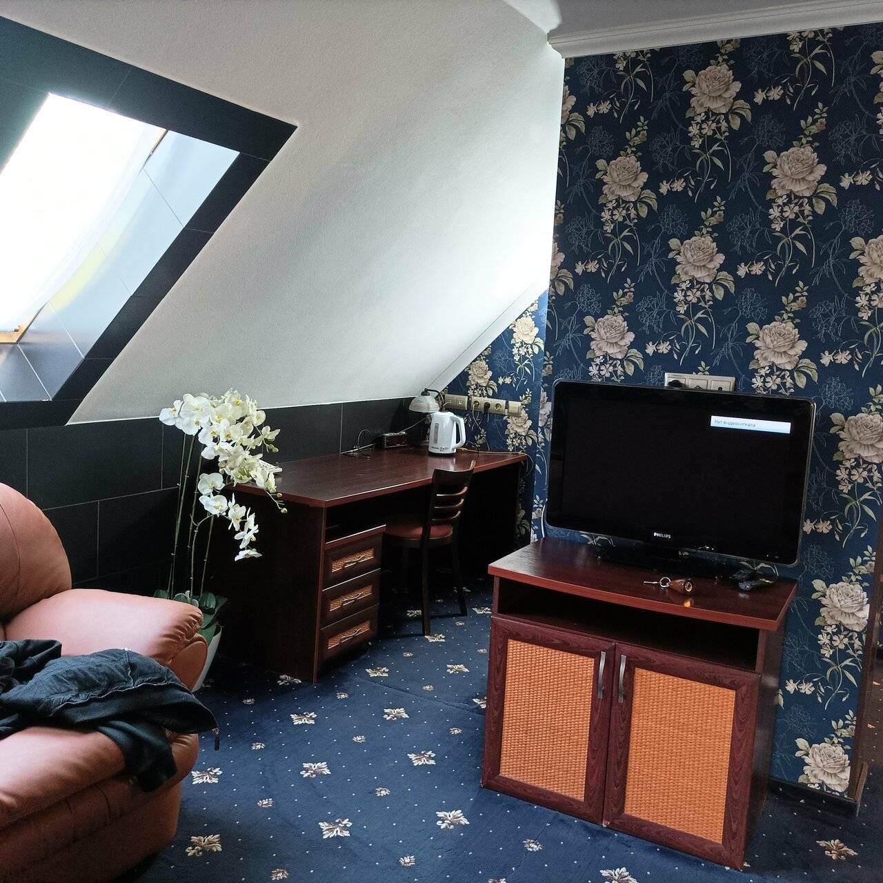 Фото Гостиницы Черепаха Калининград 165