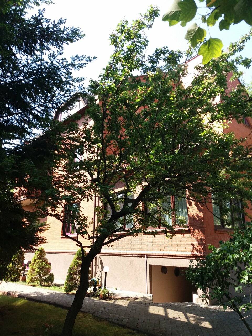 Фото Гостиницы Черепаха Калининград 140