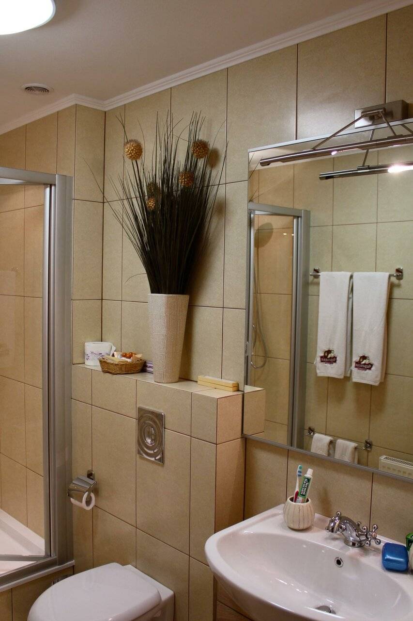 Фото Гостиницы Черепаха Калининград 93