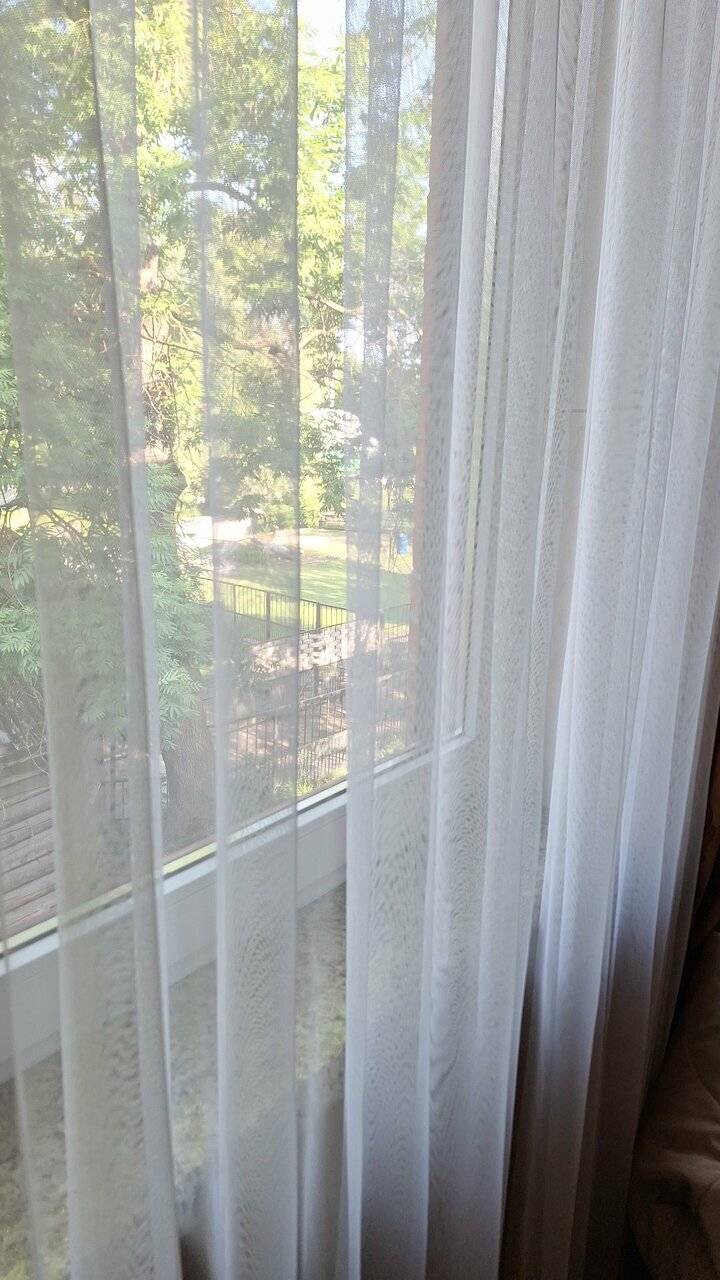 Фото Гостиницы Черепаха Калининград 153