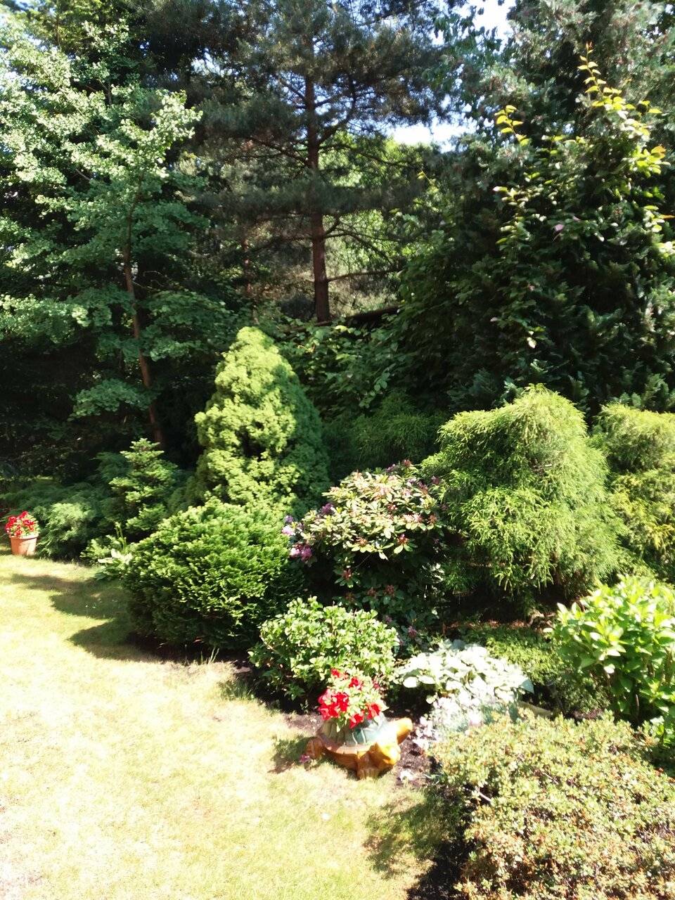 Фото Гостиницы Черепаха Калининград 203