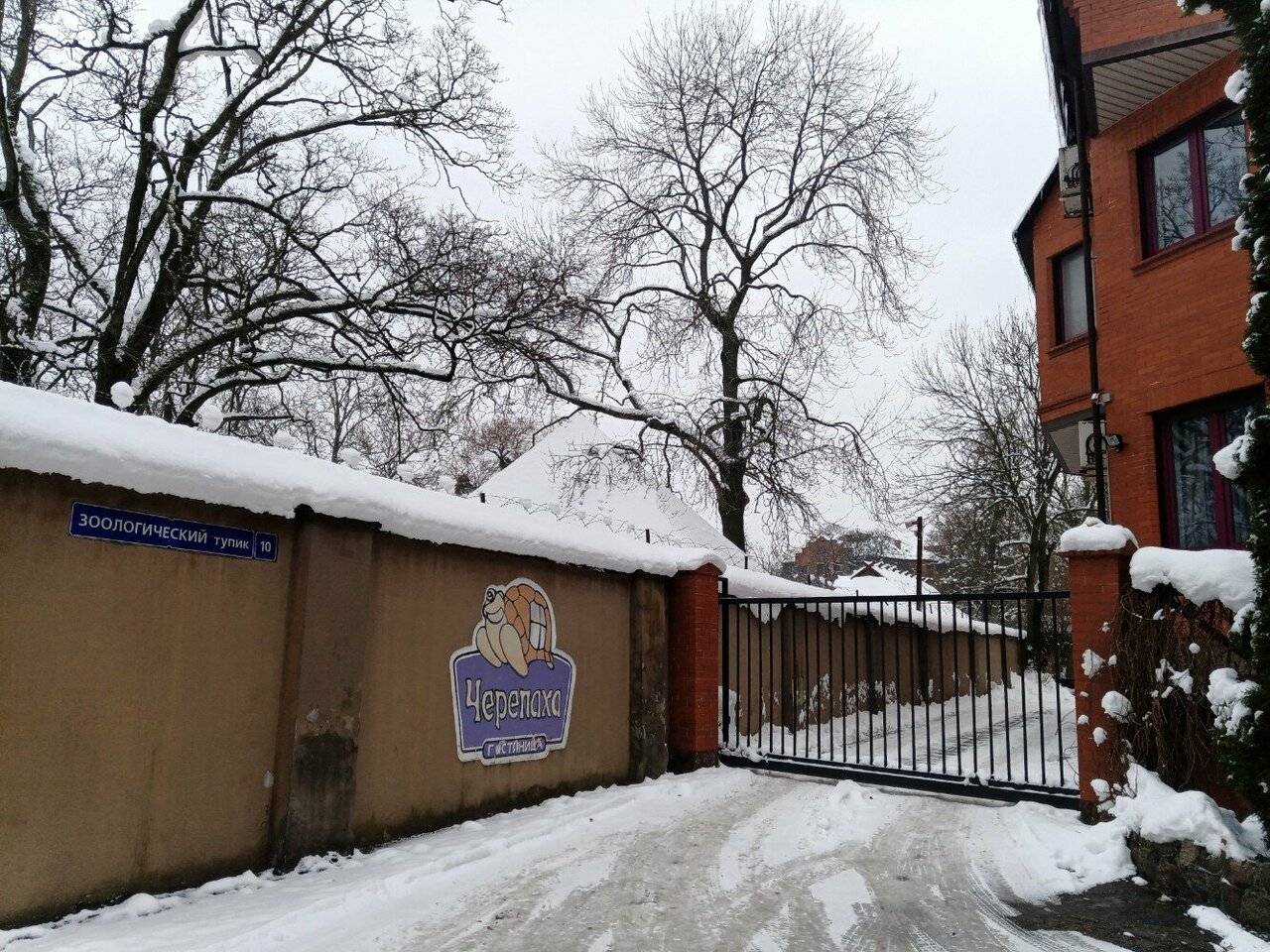 Фото Гостиницы Черепаха Калининград 21