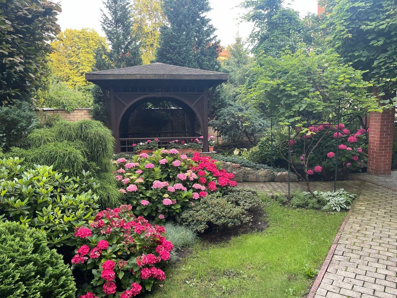 Фото Гостиницы Черепаха Калининград 138