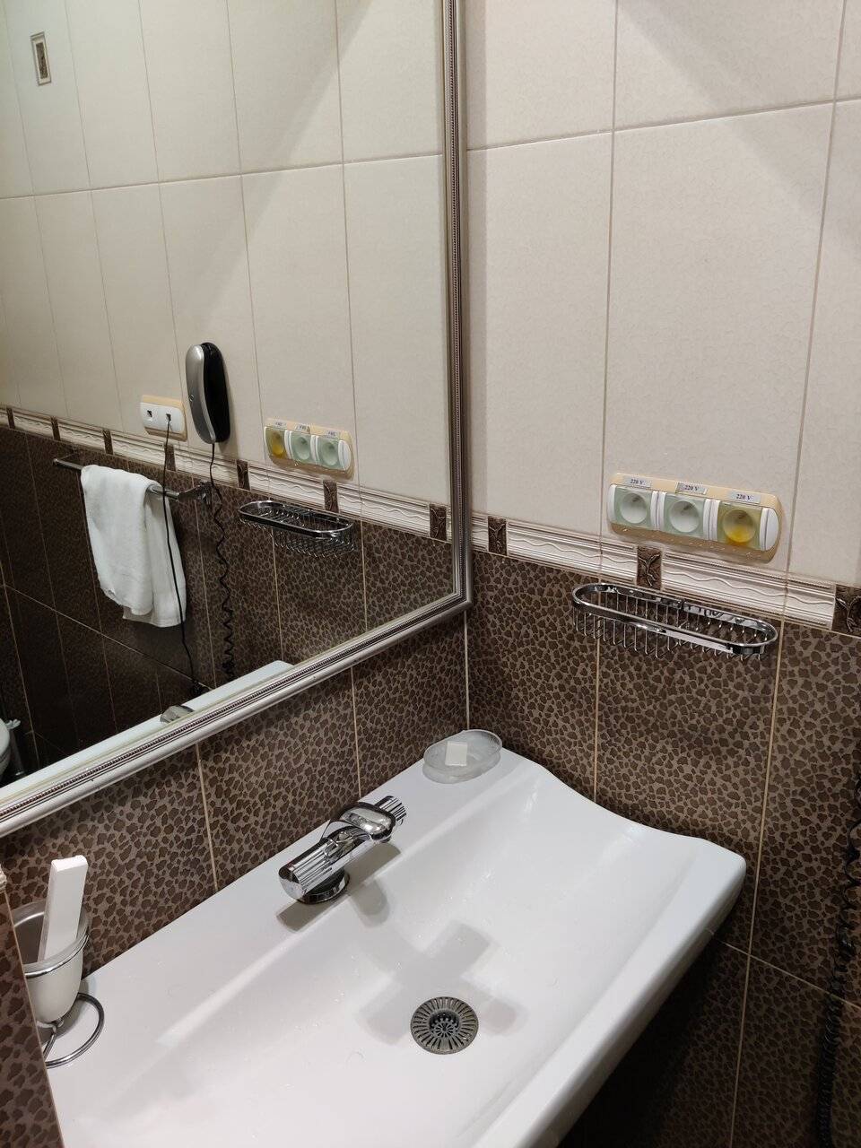 Фото Гостиницы Черепаха Калининград 162