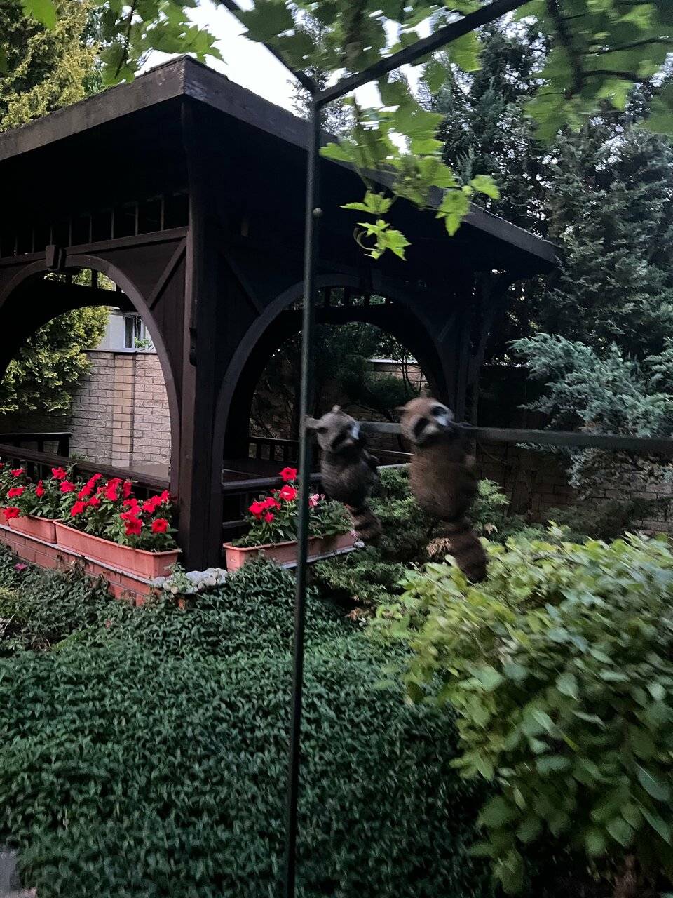 Фото Гостиницы Черепаха Калининград 126