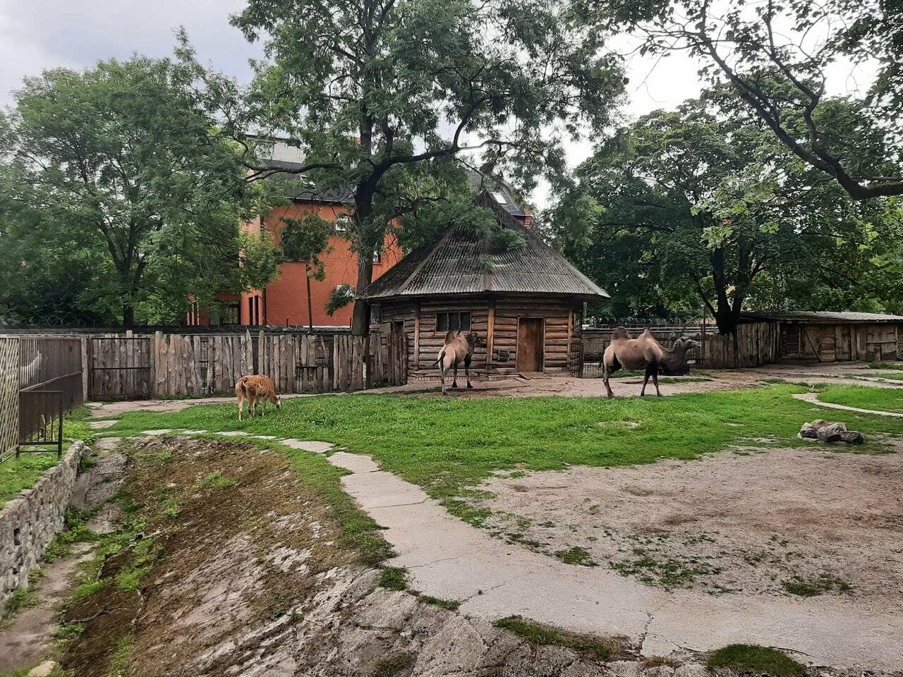 Фото Гостиницы Черепаха Калининград 116