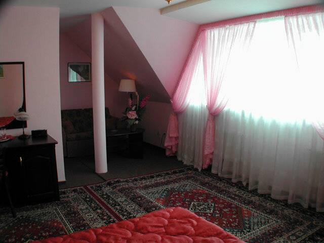 Фото Гостиницы Черепаха Калининград 5