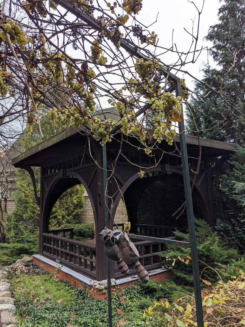 Фото Гостиницы Черепаха Калининград 127