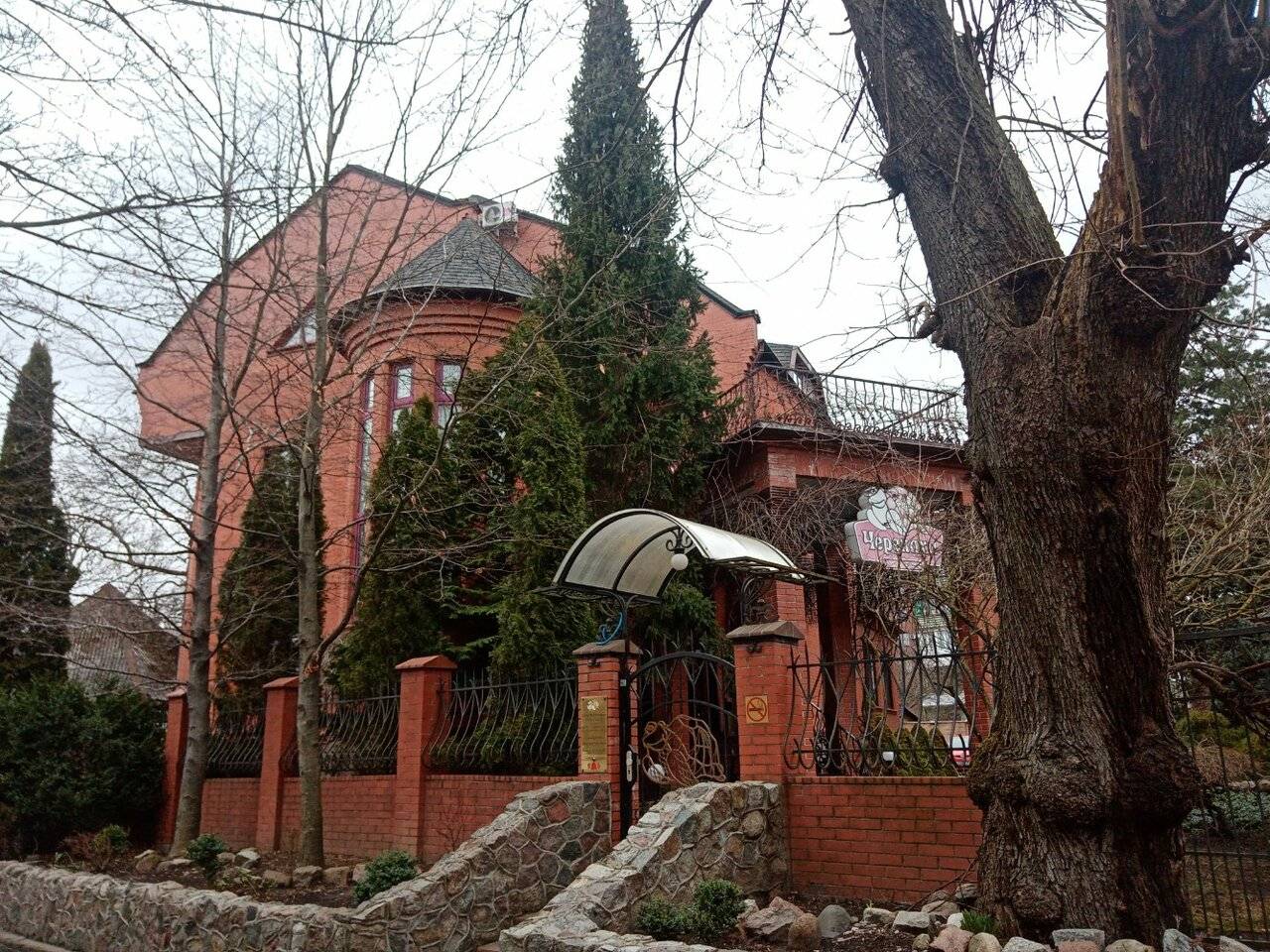 Фото Гостиницы Черепаха Калининград 44