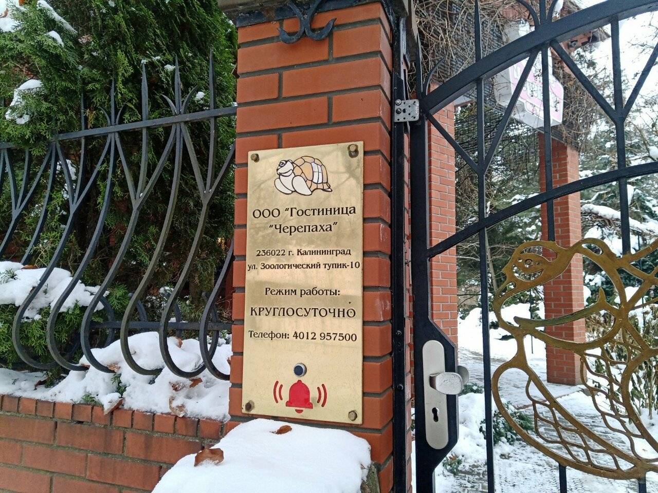 Фото Гостиницы Черепаха Калининград 41
