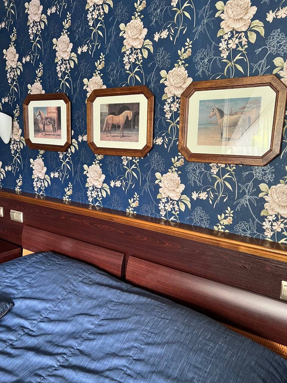 Фото Гостиницы Черепаха Калининград 136