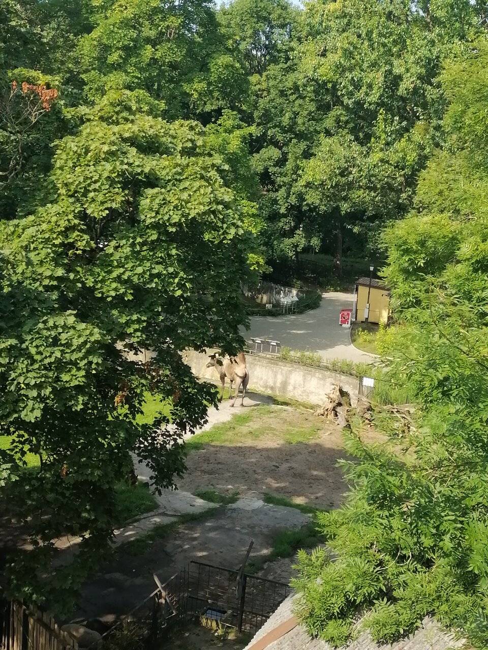 Фото Гостиницы Черепаха Калининград 151