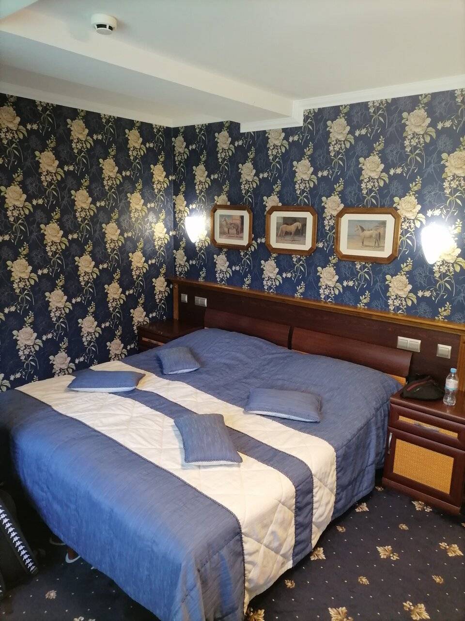 Фото Гостиницы Черепаха Калининград 227