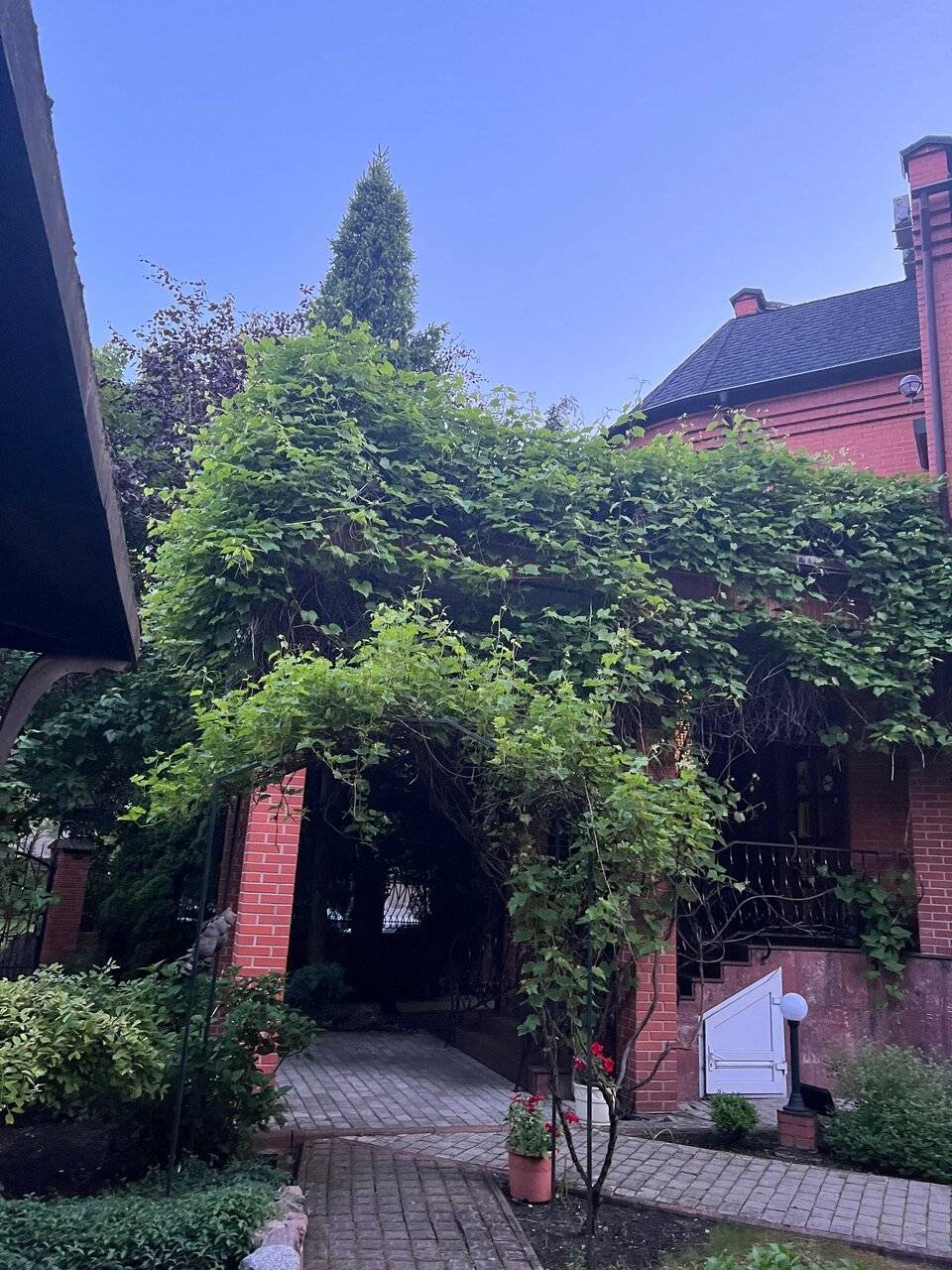 Фото Гостиницы Черепаха Калининград 201