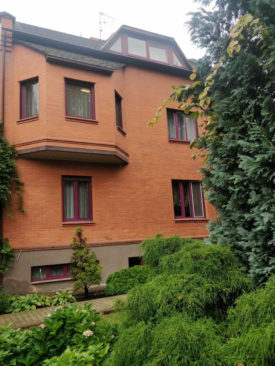 Фото Гостиницы Черепаха Калининград 119