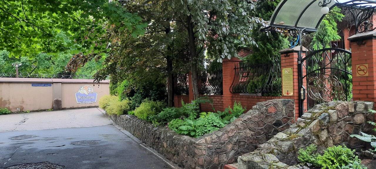 Фото Гостиницы Черепаха Калининград 216