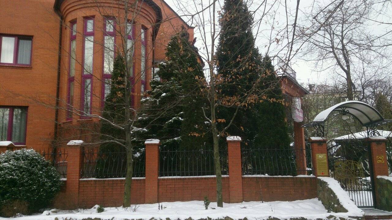 Фото Гостиницы Черепаха Калининград 27