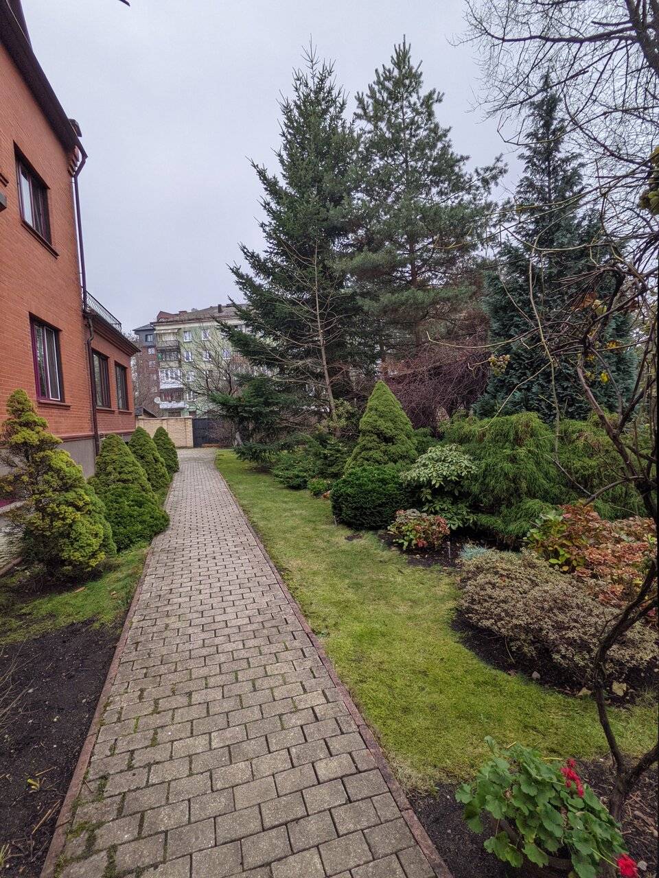 Фото Гостиницы Черепаха Калининград 145