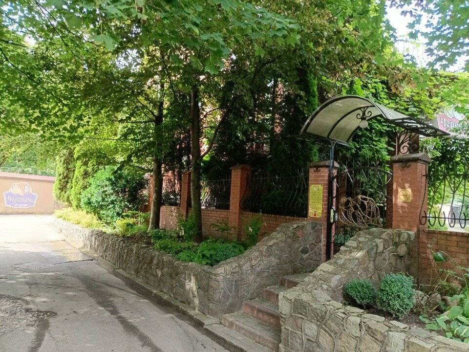 Фото Гостиницы Черепаха Калининград 70