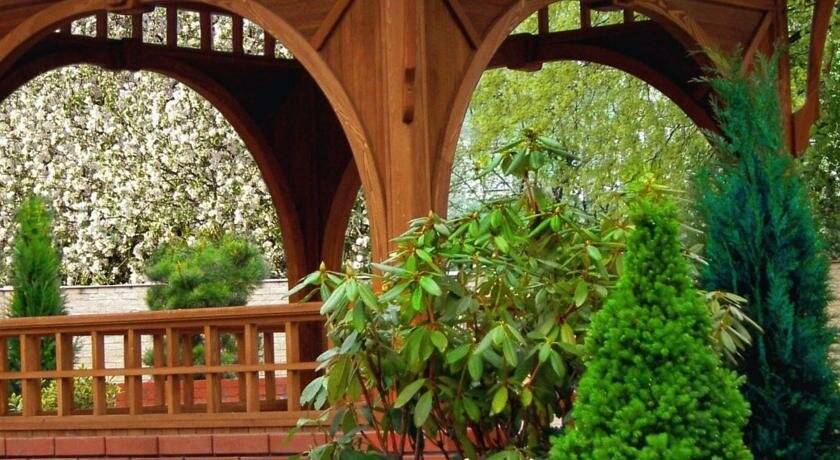 Фото Гостиницы Черепаха Калининград 18