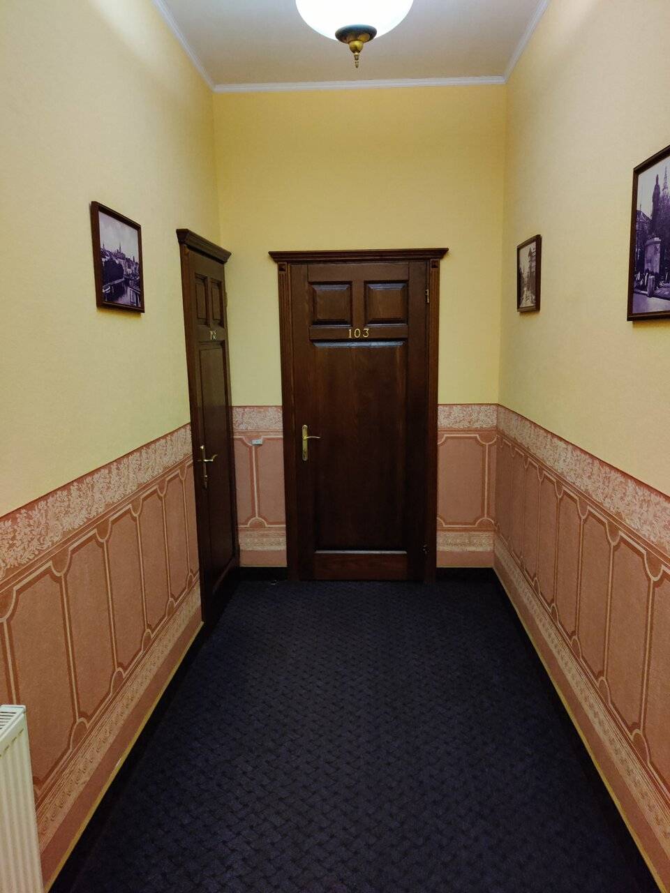 Фото Гостиницы Черепаха Калининград 160