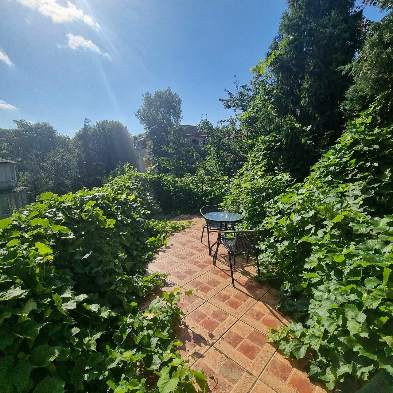 Фото Гостиницы Черепаха Калининград 135