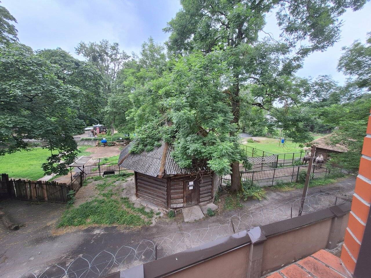 Фото Гостиницы Черепаха Калининград 181