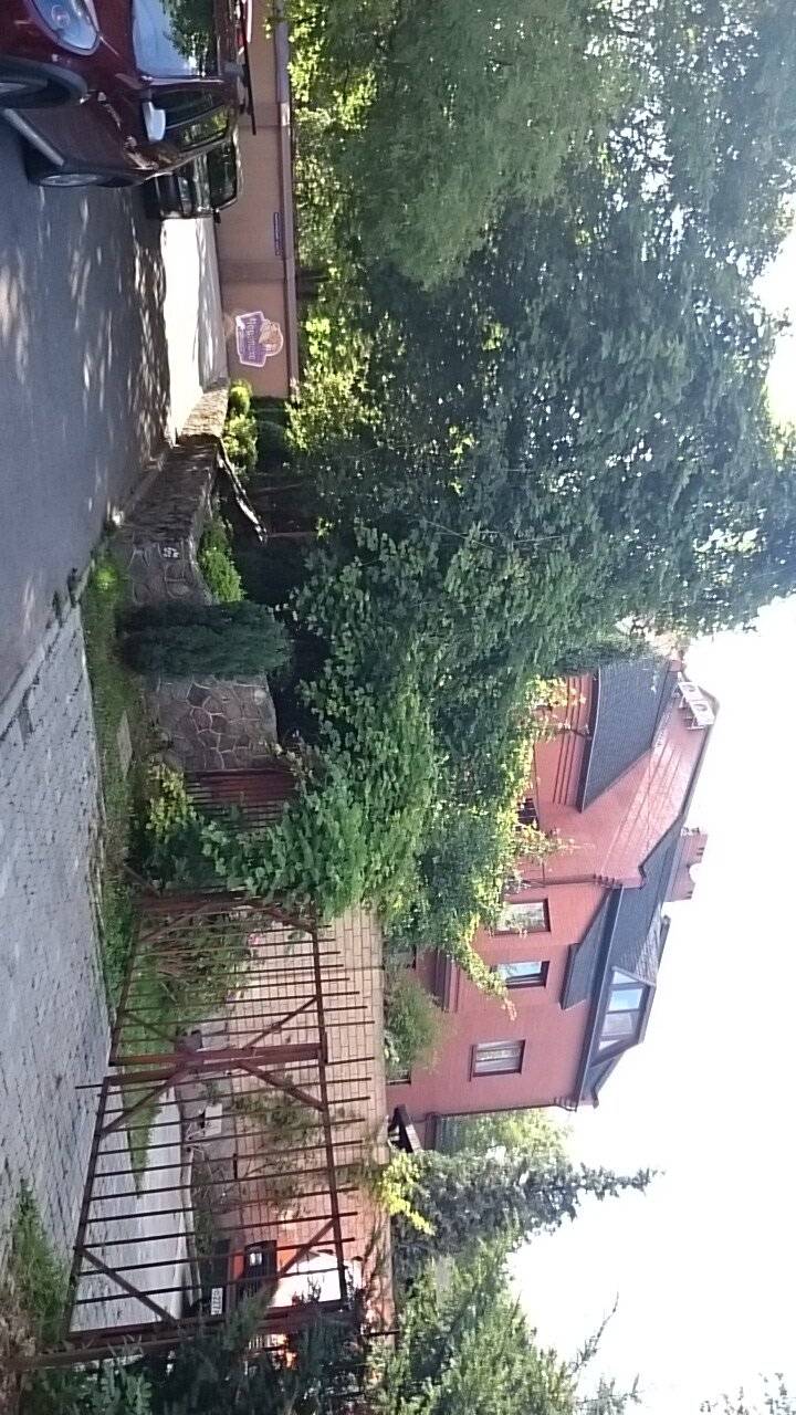 Фото Гостиницы Черепаха Калининград 34