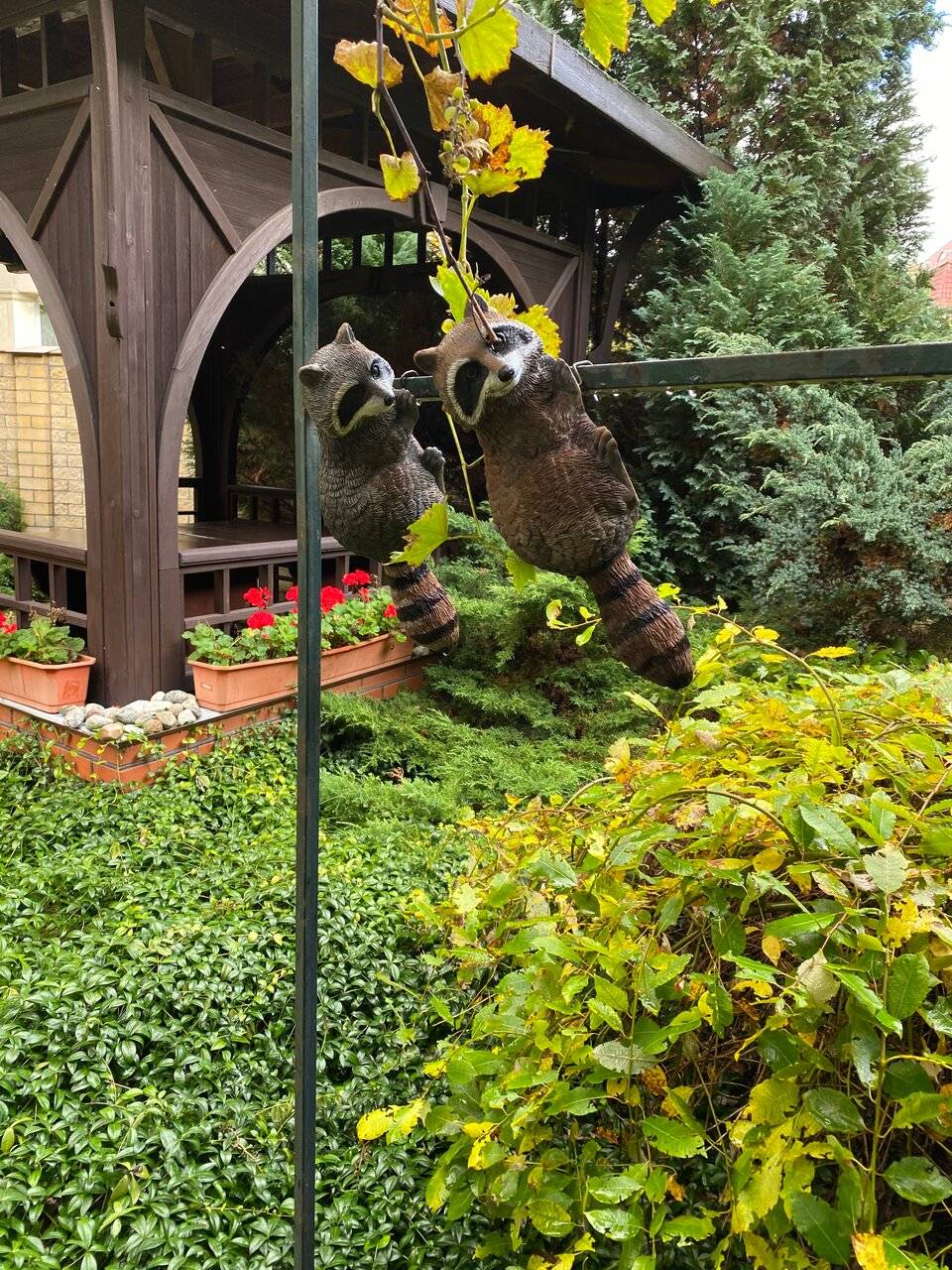 Фото Гостиницы Черепаха Калининград 155