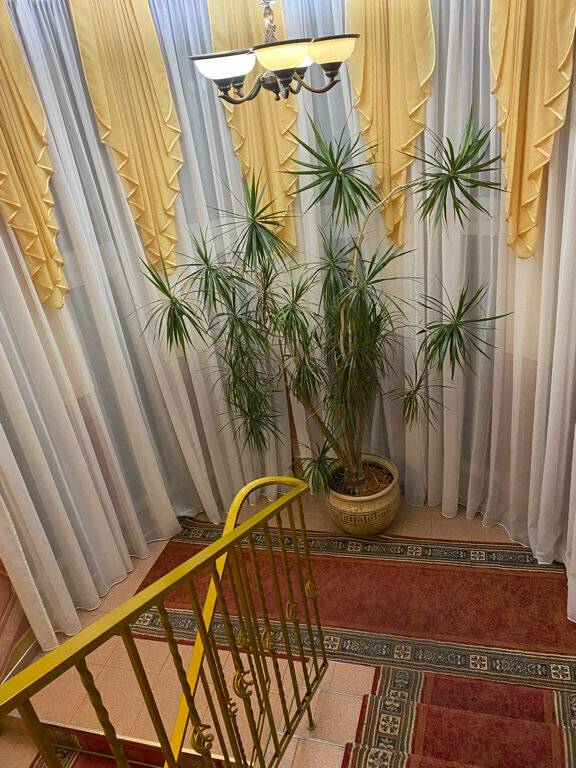 Фото Гостиницы Черепаха Калининград 139