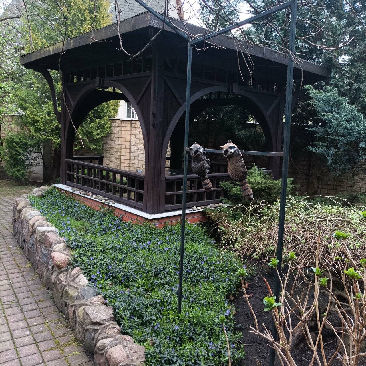 Фото Гостиницы Черепаха Калининград 142