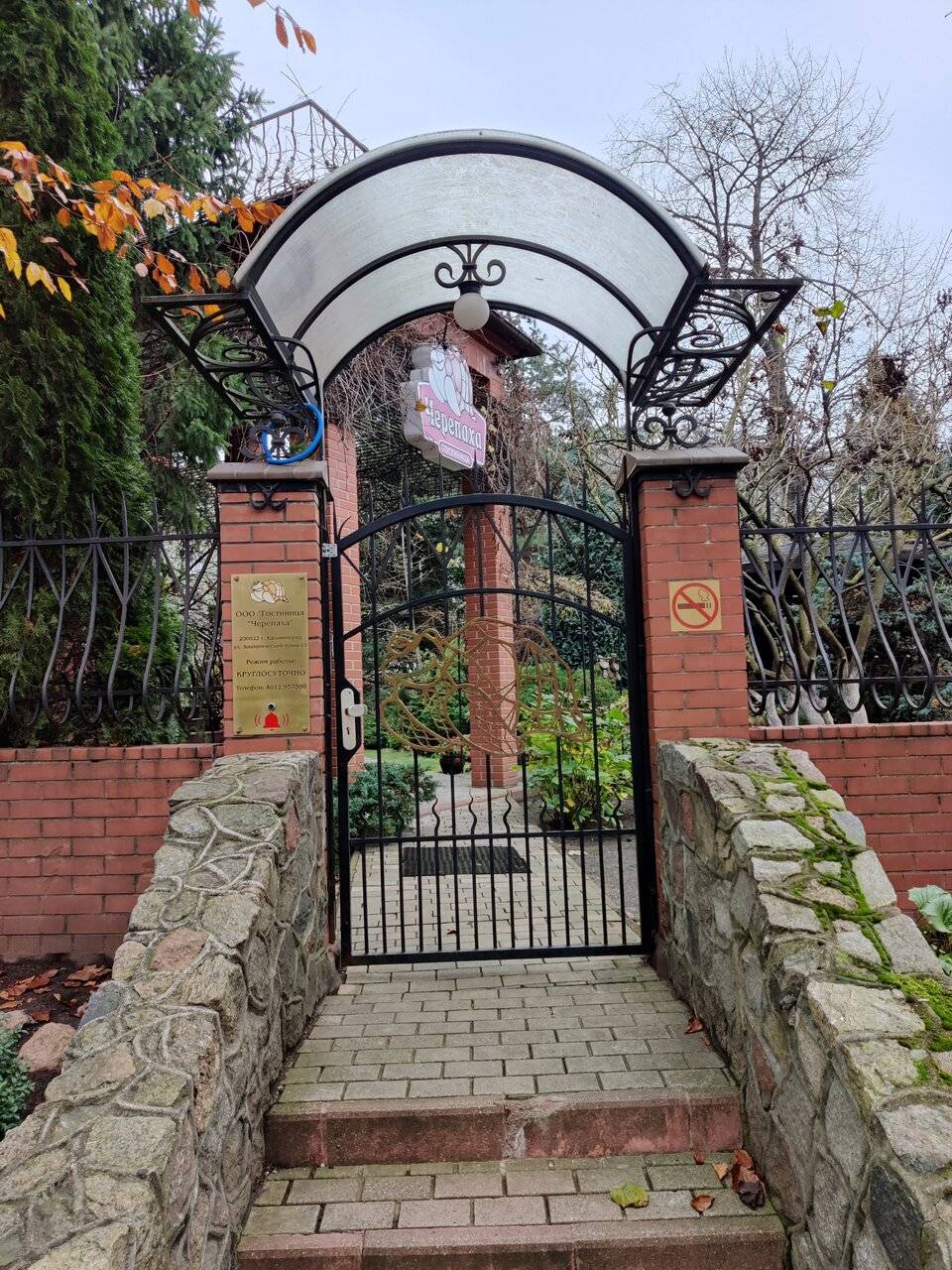 Фото Гостиницы Черепаха Калининград 169