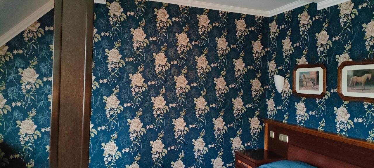 Фото Гостиницы Черепаха Калининград 209