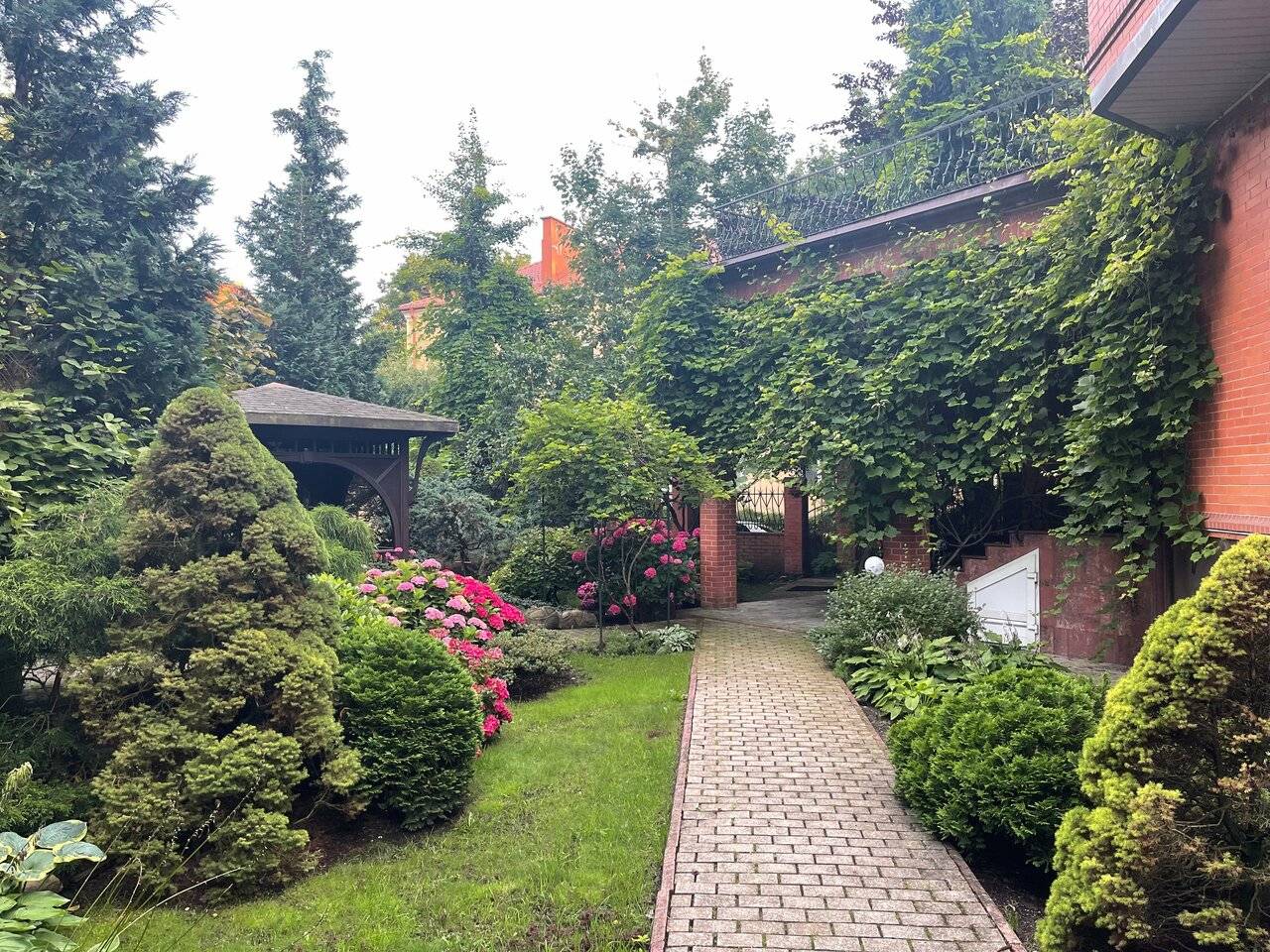 Фото Гостиницы Черепаха Калининград 178