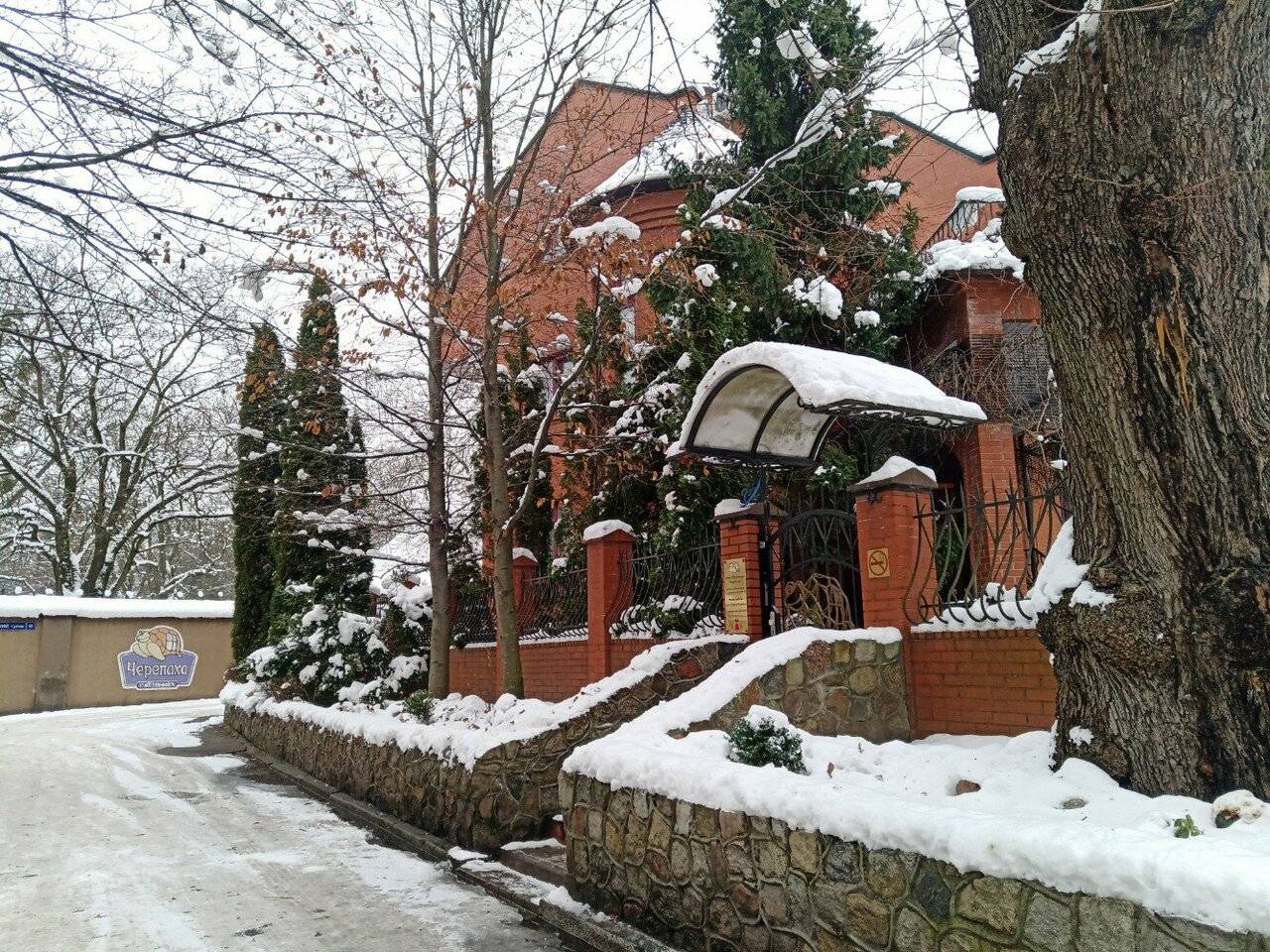 Фото Гостиницы Черепаха Калининград 35