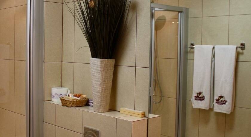 Фото Гостиницы Черепаха Калининград 74