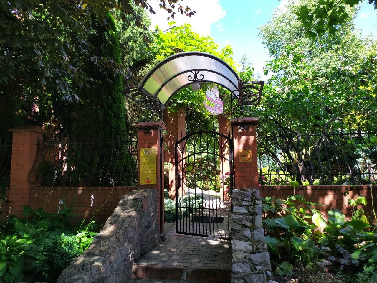 Фото Гостиницы Черепаха Калининград 53