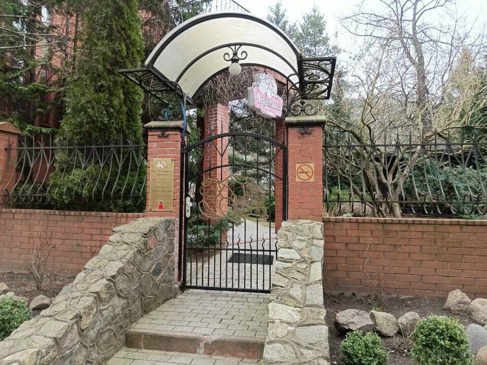 Фото Гостиницы Черепаха Калининград 16